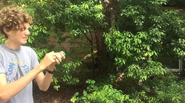 Party popper in slow motion