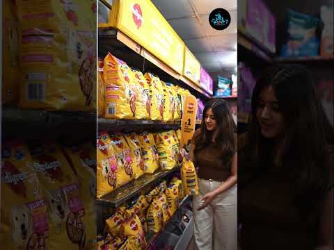 Fish Aquarium Home video 1