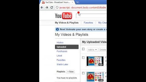 Javascript Hacks:Editing Websites