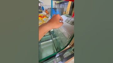 Hồ lọc dưới van phao cơ cúp điện có bị tràn nước ko #shortvideo #aquarium #hoca #Trọngtoanaquarium