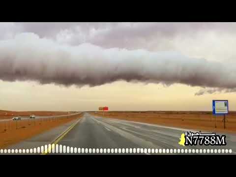 ياحي شوف المزون كلمات ضاوي الشيباني اداء راكان الشيباني 