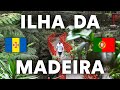 Vi isto na Ilha da Madeira...