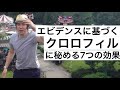 【葉緑素】エネルギーの源！クロロフィル！