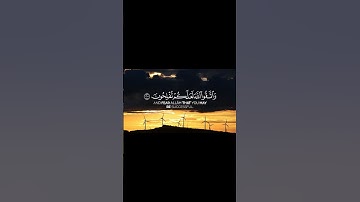 تلاوة هادئة بصوت الشيخ عبدالرحمن الزواوي 🥰