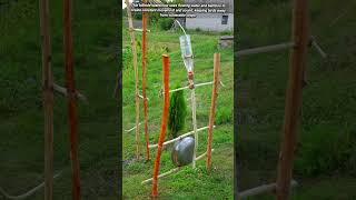 Creative Kinetic Bamboo Scarecrow For Hillside Crops Protection .