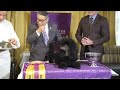 Westminster dog show champion is served a posh lunch