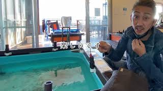 沖縄に釣り堀あり カフェde釣り Youtube 沖縄に釣り堀あり カフェde釣り Youtube
