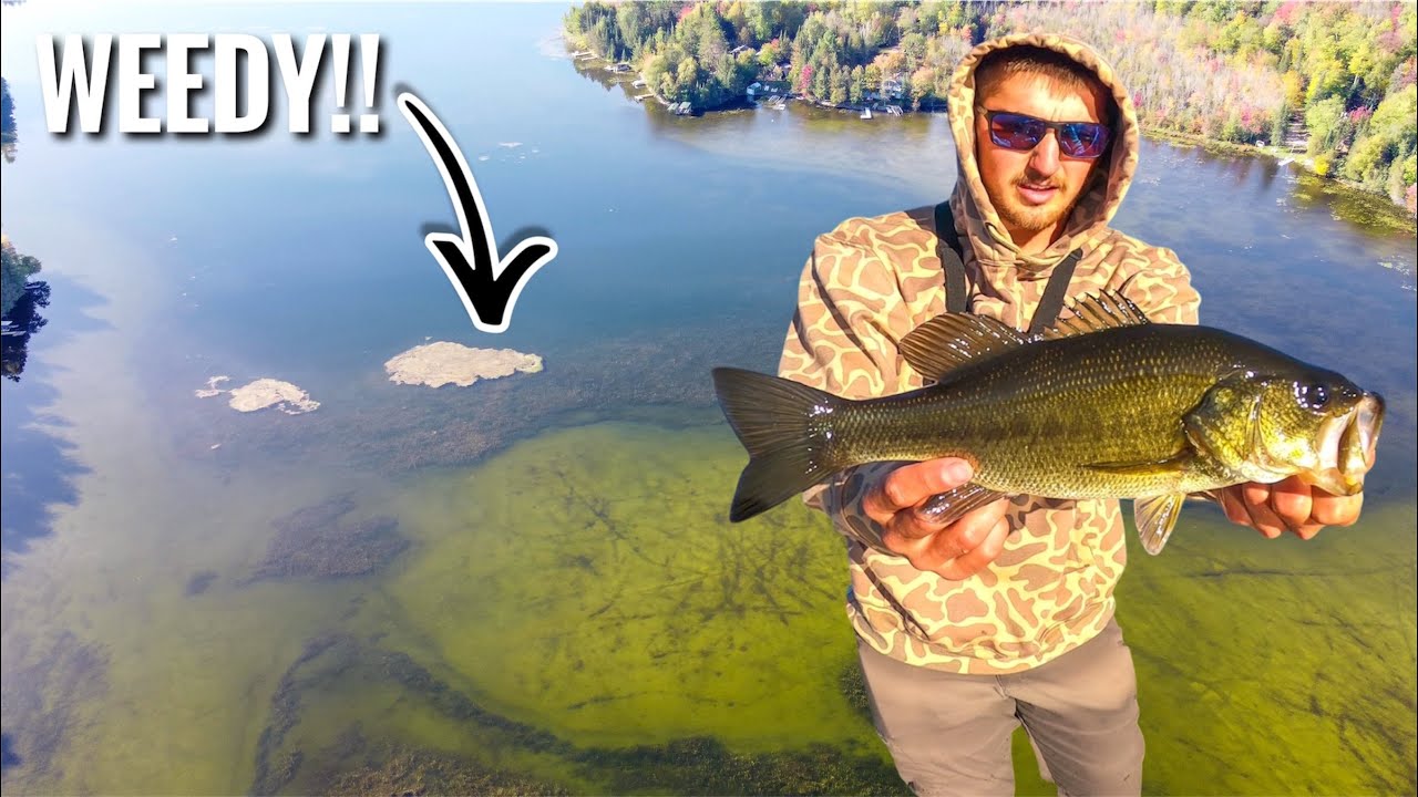 Early Fall Bass Fishing on a Small Weedy Northern Wisconsin Lake (9-26-2026)