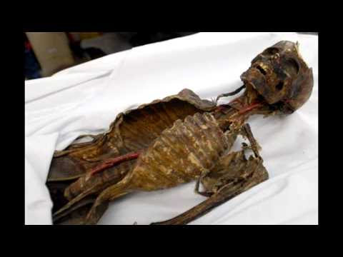 Thumb of Tokyo's Oldest Man, Mummified For 30 Years video