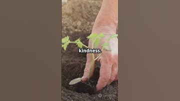 Nurture Your Mind Like a Garden 🌱