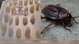 ELIMINA LAS CUCARACHAS CON ESTE PRODUCTO CASERO