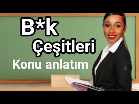 B*KUN SINIFLANDIRILMASI / yks konu anlatımı Nurdisina