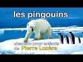 Les pingouins de pierre lozre