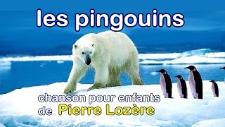 Miniatura del video "Les pingouins de Pierre Lozère"