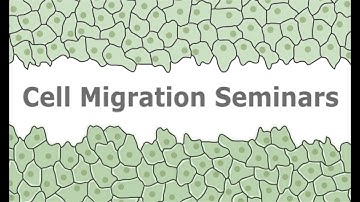 Cell Migration Seminar #20: Jocelyn McDonald & Andrew Clark