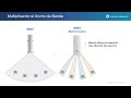 Cambium Networks EPMP 3000 y FORCE 300