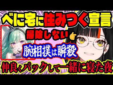 べに宅に“住みつく”宣言したはなび、インテリア絶賛&腕相撲瞬殺w犬べににビビりつつパックして一緒に寝た夜の甘い会話も…親が配信見てる事実に絶叫【ぶいすぽ切り抜き/蝶屋はなび】【雑談】
