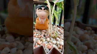 Turning stones into art, and gems into a garden’s glow. #GemstoneDecor #NatureArt #GardenVibes