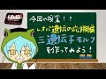 【ざっくり解説】レオパ遺伝応用編・三遺伝子のモルフを作る【ヒョウモントカゲモドキ】