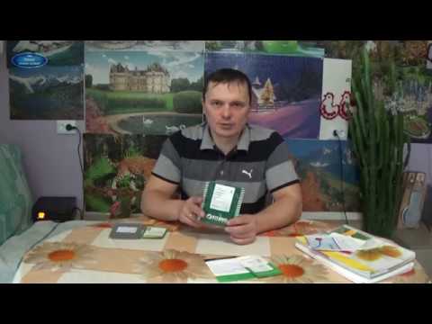 ГДЕ КУПИТЬ СЕМЕНА КРАСИВЫХ ЦВЕТОВ БЕЗ ОБМАНА?