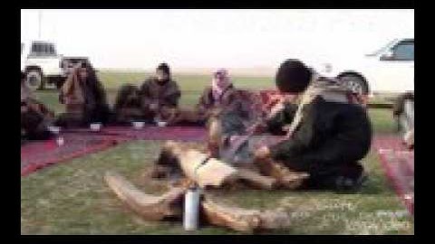 فيصل العنزي أجمل صوت بالعالم أتمنى له أن يختم القرآن الكريم وينشر صوته ويصبح من أفضل القراء. ..