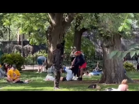 Woman seen violently tugging on people's hair in East Village park