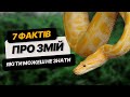 Змії 7 ФАКТІВ про змій про які ви можете НЕ ЗНАТИ цікаві факти українською мовою Змії 7 ФАКТІВ про змій про які ви можете НЕ ЗНАТИ цікаві факти українською мовою