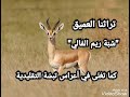 سهرات الڨصبة القديمة شبة ريم الفالي في نسختها البدوية الأصلية