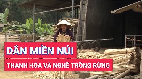 Người dân dân miền núi Thanh Hóa trồng rừng gắn với phát triển kinh tế bền vững