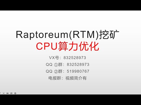 Raptoreum(RTM)mining达世鹰嘴币挖矿CPU算力优化