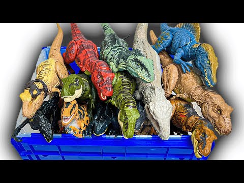 HUGE Haul Of