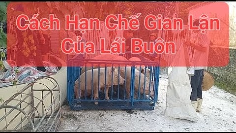 BÀN GIAO - HƯỚNG DẪN SỬ DỤNG CÂN ĐỘNG VẬT - CÂN TÂN THÀNH HƯNG  - 0975 922 685