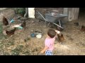 Kind beim H&uuml;hner f&uuml;ttern mit Eiern Teil 3 lustig witzig komisch lausbub s&uuml;&szlig; lieb niedlich