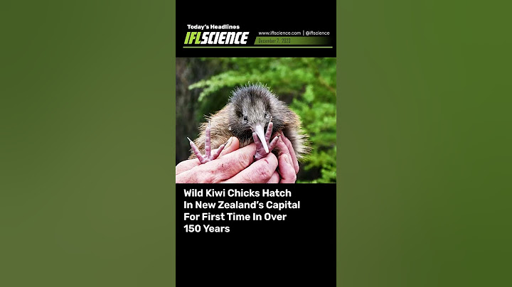 Top #Science Headlines - 7 December 2023 #news