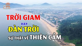 Sự Thật Đằng Sau Vẻ Đẹp Của Thiên Cầm Là Đàn Trời Hay Trời Giam Gắn Với Hồ Quý Ly #hnp