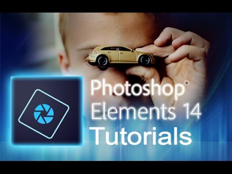 Watermerk Op Meerdere Foto'S Tegelijk Zetten Met Photoshop Elements 14 -  Youtube