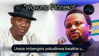 USgwebo udalule imbangela yokudilika uMcineka kwiMpucuzeko