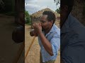 VID 20221208 165616