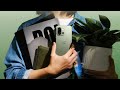 OnePlus 13s: The Most Powerful Budget Flagship... But There's a Catch?