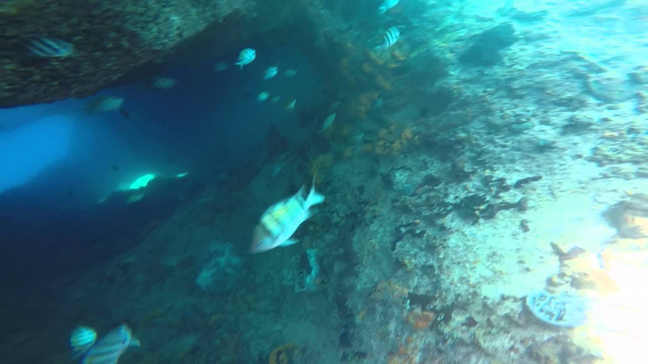 SV Echo Echo Sailing the World, Neil and Jeanette's Adventures- Thunderball Grotto 2 Bahamas