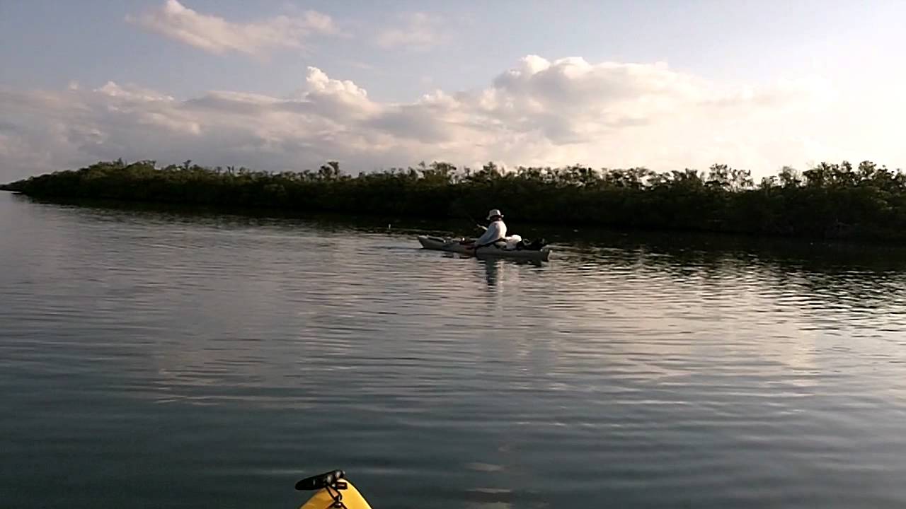 Kayak fishing in Fort Pierce YouTube