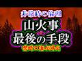 山火事最後の手段「禁断の海水消化」ロサンゼルスの山火事では水が足りず「海水」をまく異例の消火活動が行われている、海水散布が最後の手段である理由とは？