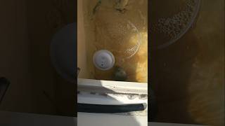 Baitwell 3000 Or 30 Hack?