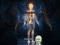 The Power of Your Subconscious Mind