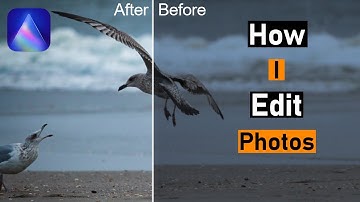How to EDIT and ORGANIZE Photos? Edit Wildlife Photos with Luminar AI?!