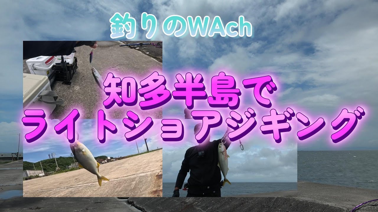 知多半島でライトショアジギング