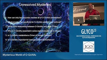 Mysterious World of O GlcNAc: John A. Hanover