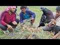 Adivasi Got Tandi Puja &amp; Pigeon Feast 🐦🔥 | Village Style Cooking &amp; Festival Meal Together
