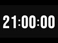 21 Hour Timer