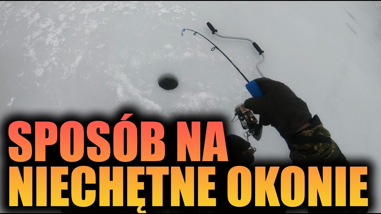 OPORNE OKONIE Z LODU - Wędkuj z Alfim #58